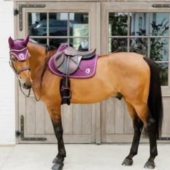 Bonnets Pour Chevaux*Kentucky Horsewear - Bonnet pour chevaux anti-bruits Wellington 3D Logo Rope Violet