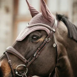 Bonnets Pour Chevaux|Cso*Kentucky Horsewear - Bonnet Wellington velvet parme Marron