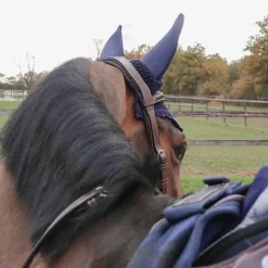 Bonnets Pour Chevaux|Cso*Kentucky Horsewear - Bonnet anti-bruits foncé Marine