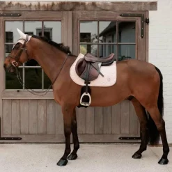 New - Bonnet pour chevaux anti-bruits Wellington Sparkling vieux Bonnets Pour Chevaux