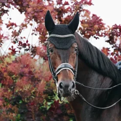 New - Bonnet Wellington Sparkling Bonnets Pour Chevaux|Cso