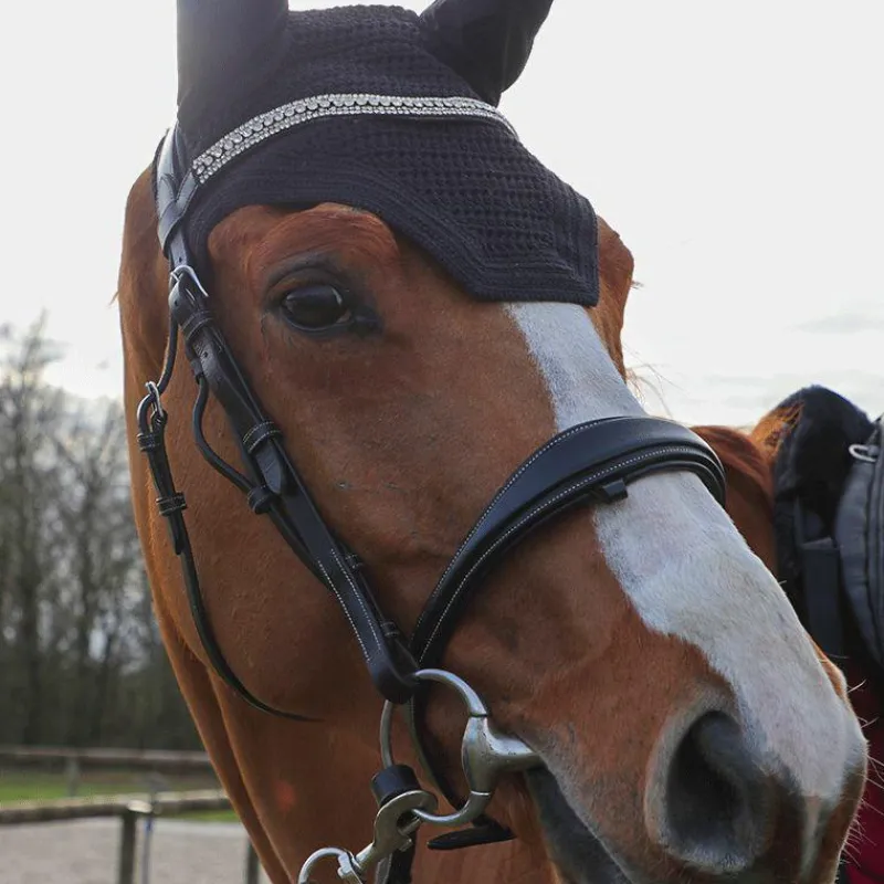 Cso|Collection "Minis" Kentucky*Kentucky Horsewear - Bonnet Wellington Noir