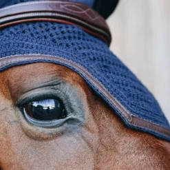 - Bonnet Wellington cuir marine Collection 