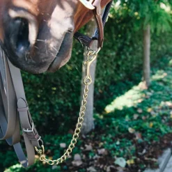 Best - Chaine d'étalon Longes Classiques