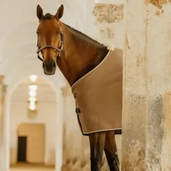 Outlet - Chemise séchante Show Vegan Wool Collection 