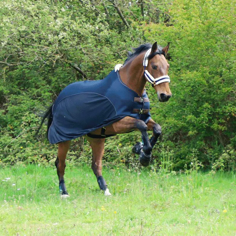 Couvertures Et Chemises*Kentucky Horsewear - Chemise mesh combo Marine