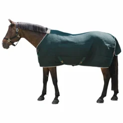 Best - Chemise séchante Protherm foncé Collection "Minis" Kentucky|Couvertures Poneys