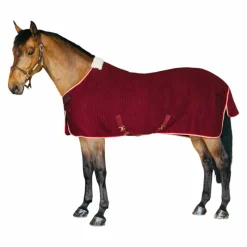 Sale - Chemise séchante Protherm Collection "Minis" Kentucky|Couvertures Poneys