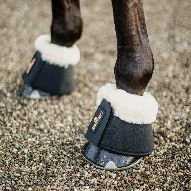 New - Cloches chevaux mouton Solimbra Horseball|Concours Complet D'Equitation