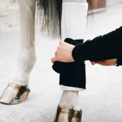 Sous-Bandes*Kentucky Horsewear - Cotons de travail pad absorb / blanc (x4) Noir