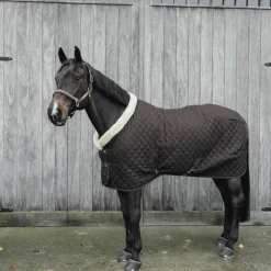 Hot - Couverture de présentation 160g Élevage|Couvertures Et Chemises