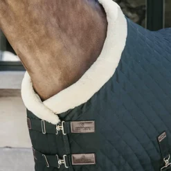 Élevage|Couvertures Et Chemises*Kentucky Horsewear - Couure de présentation 160g Vert