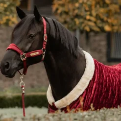 Online - Couverture de présentation velvet 160g Couvertures Et Chemises