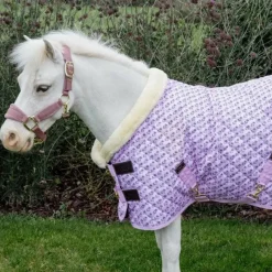 Collection "Minis" Kentucky|Couvertures Poneys*Kentucky Horsewear - Couverture de présentation Sammy Collection vieux 160g Rose