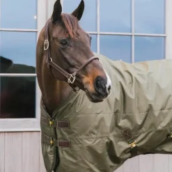 Couvertures Et Chemises*Kentucky Horsewear - Couure d'extérieur All Weather waterproof Pro kaki 160g Vert