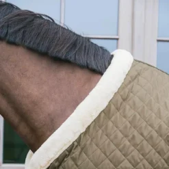 New - Couure de présentation Show Rug kaki 160g Couvertures Et Chemises