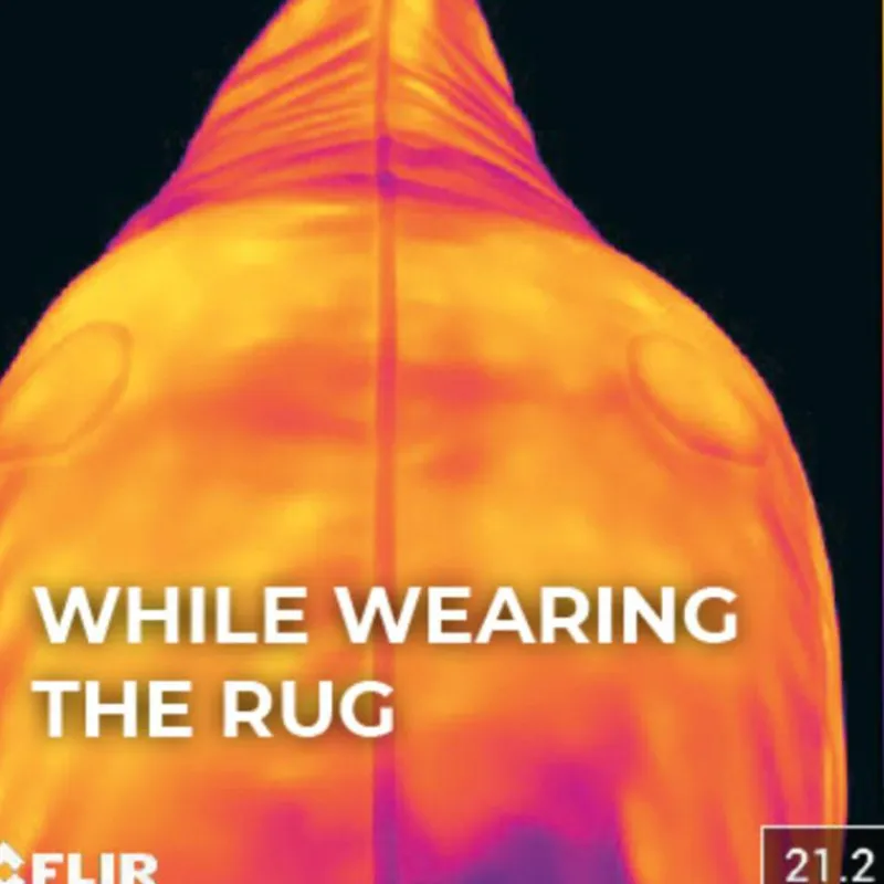 Hot - Couverture Magnetic Recuptex pour Minis Accessoires De Massages|Collection "Minis" Kentucky