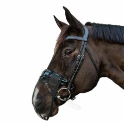Masques Anti-Mouches|Masques Anti-Mouches*Kentucky Horsewear - Filet de nez anti-mouches Noir