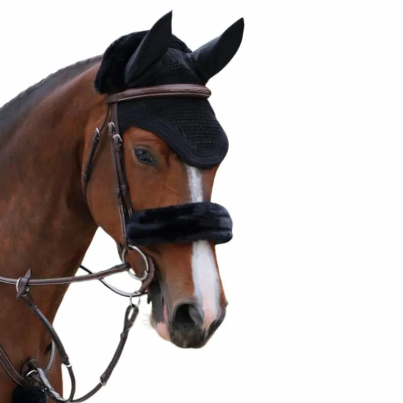 Hot - Fourreau de muserolle Horseball|Concours Complet D'Equitation