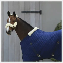 Best - Fourreaux de licol mouton blanc 4 pcs Concours Complet D'Equitation|Accessoires De Licols