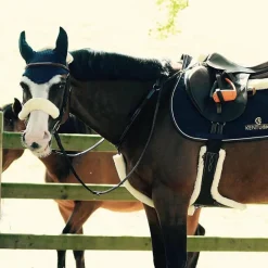 Horseball|Concours Complet D'Equitation*Kentucky Horsewear - Fourreau de collier de chasse naturel Écru