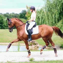 Guêtres Fermées*Kentucky Horsewear - Guêtres cheval Turn Out cuir postérieurs x2 Marron