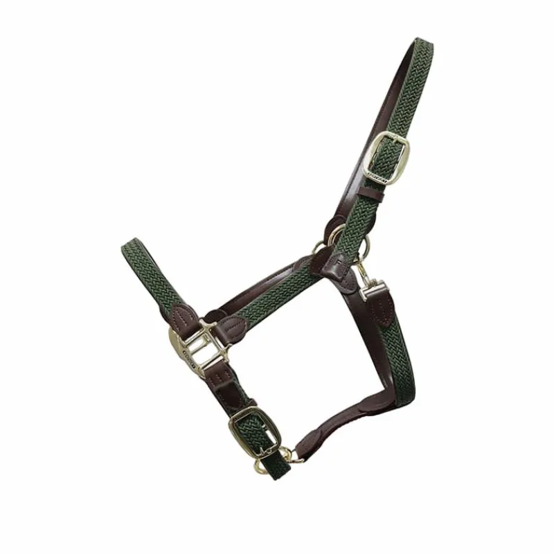 Licols En Nylon*Kentucky Horsewear - Licol cheval nylon tressé olive Vert