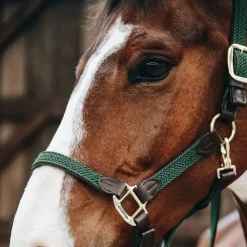 Licols En Nylon*Kentucky Horsewear - Licol cheval nylon tressé olive Vert