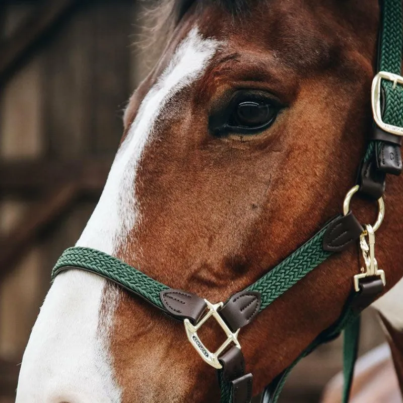 Licols En Nylon*Kentucky Horsewear - Licol cheval nylon tressé olive Vert