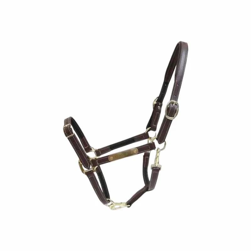 New - Licol en cuir synthétique flexible Élevage|Licols En Cuir