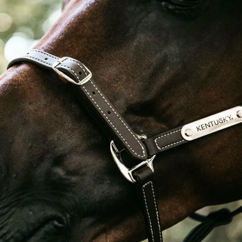 New - Licol en cuir synthétique flexible Élevage|Licols En Cuir