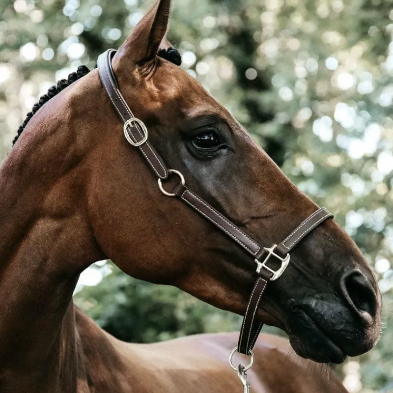 New - Licol en cuir synthétique flexible Élevage|Licols En Cuir