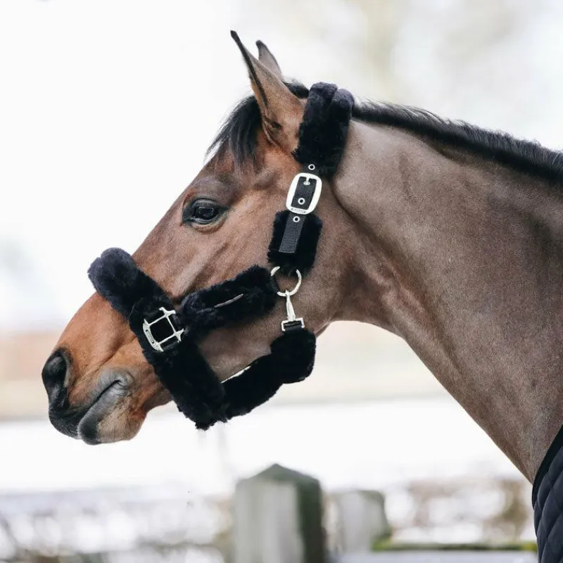 Collection "Minis" Kentucky|Licols Poneys*Kentucky Horsewear - Licol de transport mouton Noir