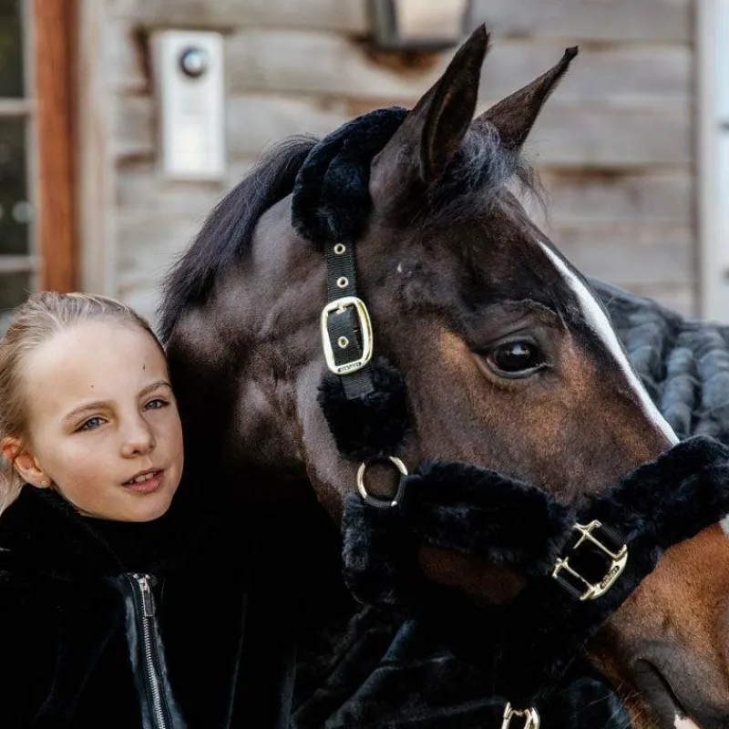 Collection "Minis" Kentucky|Licols Poneys*Kentucky Horsewear - Licol de transport mouton Noir