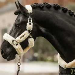 Collection "Minis" Kentucky|Licols Poneys*Kentucky Horsewear - Licol de transport mouton blanc Ecru