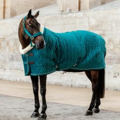 Clearance - Licol Velvet émeraude Licols En Nylon