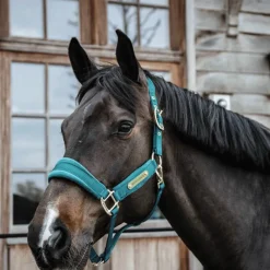 Clearance - Licol Velvet émeraude Licols En Nylon