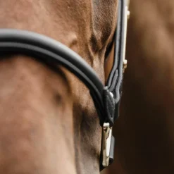 Élevage|Licols En Cuir*Kentucky Horsewear - Licol anatomique en cuir vegan noir