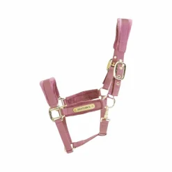 Licols En Nylon*Kentucky Horsewear - Licol Velvet vieux Rose