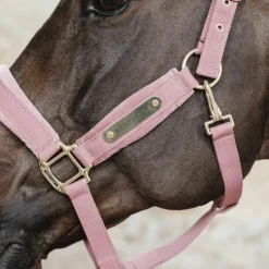 Licols En Nylon*Kentucky Horsewear - Licol Velvet vieux Rose