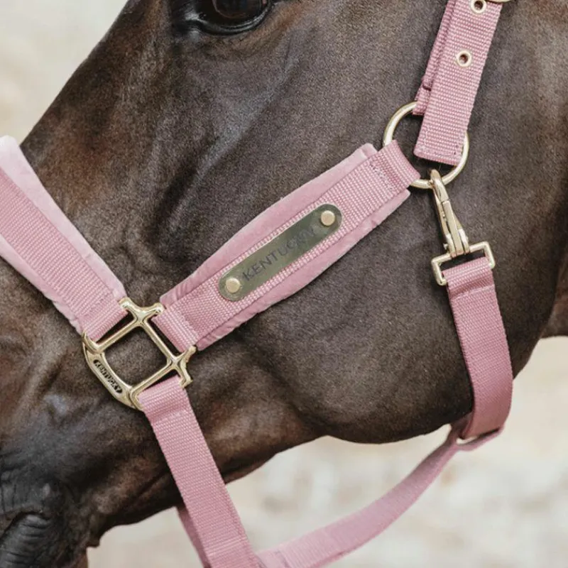 Licols En Nylon*Kentucky Horsewear - Licol Velvet vieux Rose