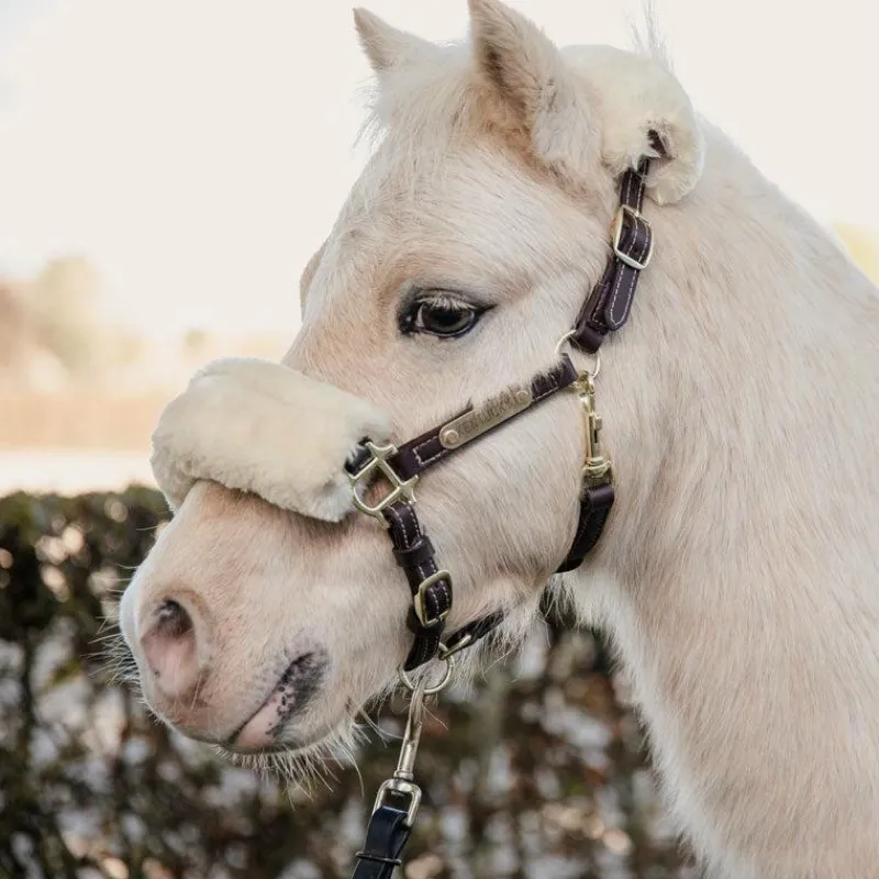 Collection "Minis" Kentucky|Licols Poneys*Kentucky Horsewear - Licol en cuir mouton pour Minis