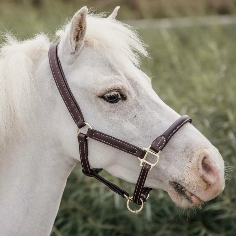 Collection "Minis" Kentucky|Licols Poneys*Kentucky Horsewear - Licol en cuir mouton pour Minis
