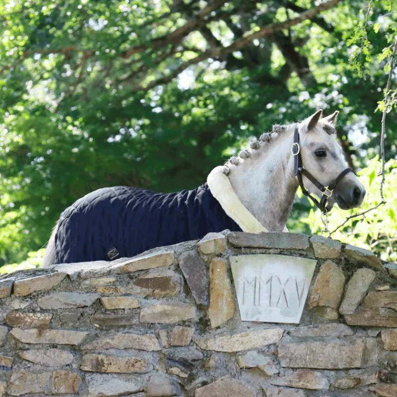 Collection "Minis" Kentucky|Licols Poneys*Kentucky Horsewear - Licol en cuir mouton pour Minis