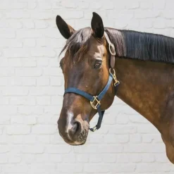 Clearance - Licol nylon Breakaway Collection "Minis" Kentucky|Licols Poneys