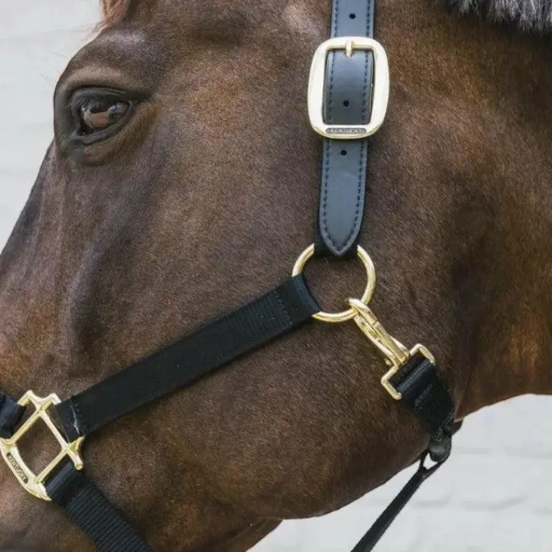 Hot - Licol nylon Breakaway Collection "Minis" Kentucky|Licols Poneys