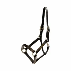 Online - Licol en cuir Wellington brun Collection "Minis" Kentucky|Licols Poneys