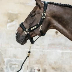 Best - Licol Velvet Licols En Nylon