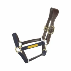 Licols En Nylon*Kentucky Horsewear - Licol anatomique nylon Marine