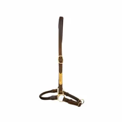 Élevage|Grooming*Kentucky Horsewear - Licol de pansage Marron